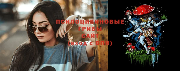 Альфа ПВП Бугульма