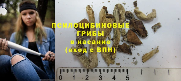 твердый Бородино