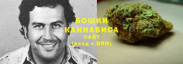 гашик Бронницы