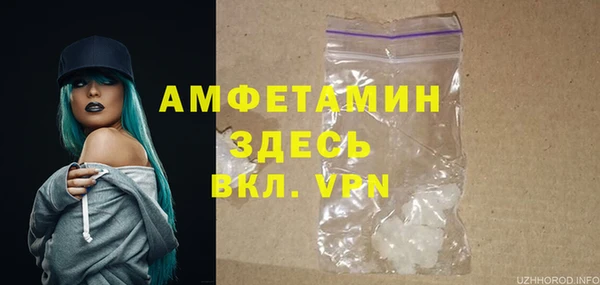 твердый Бородино