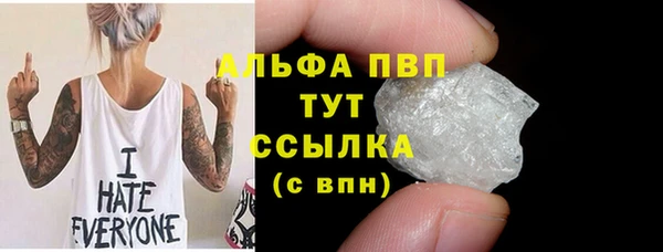 твердый Бородино