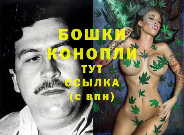 твердый Бородино