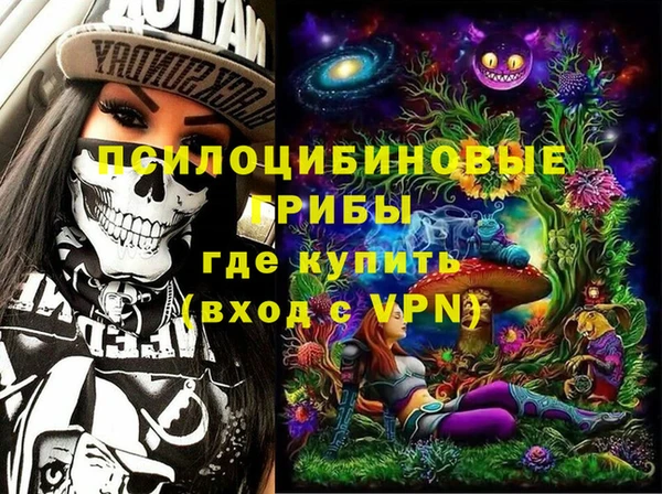 гашик Бронницы