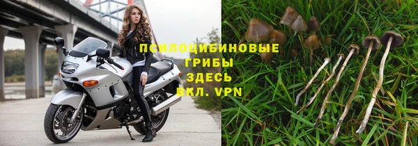 твердый Бородино