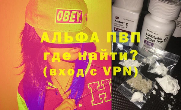 твердый Бородино