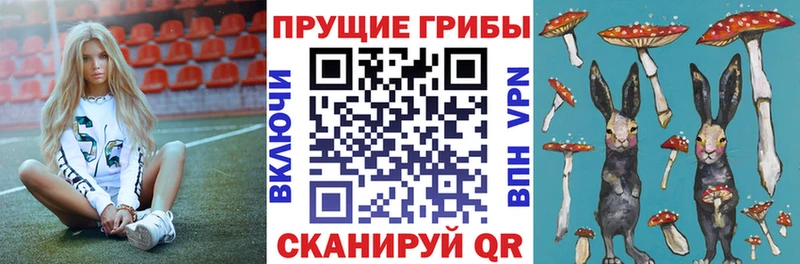 Галлюциногенные грибы MAGIC MUSHROOMS  ссылка на мегу   Новоржев 